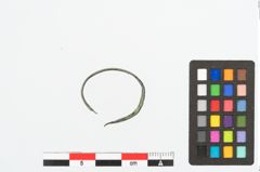 Foto von Bronzekopfschmuckring (NHMW-PRAE-026641)